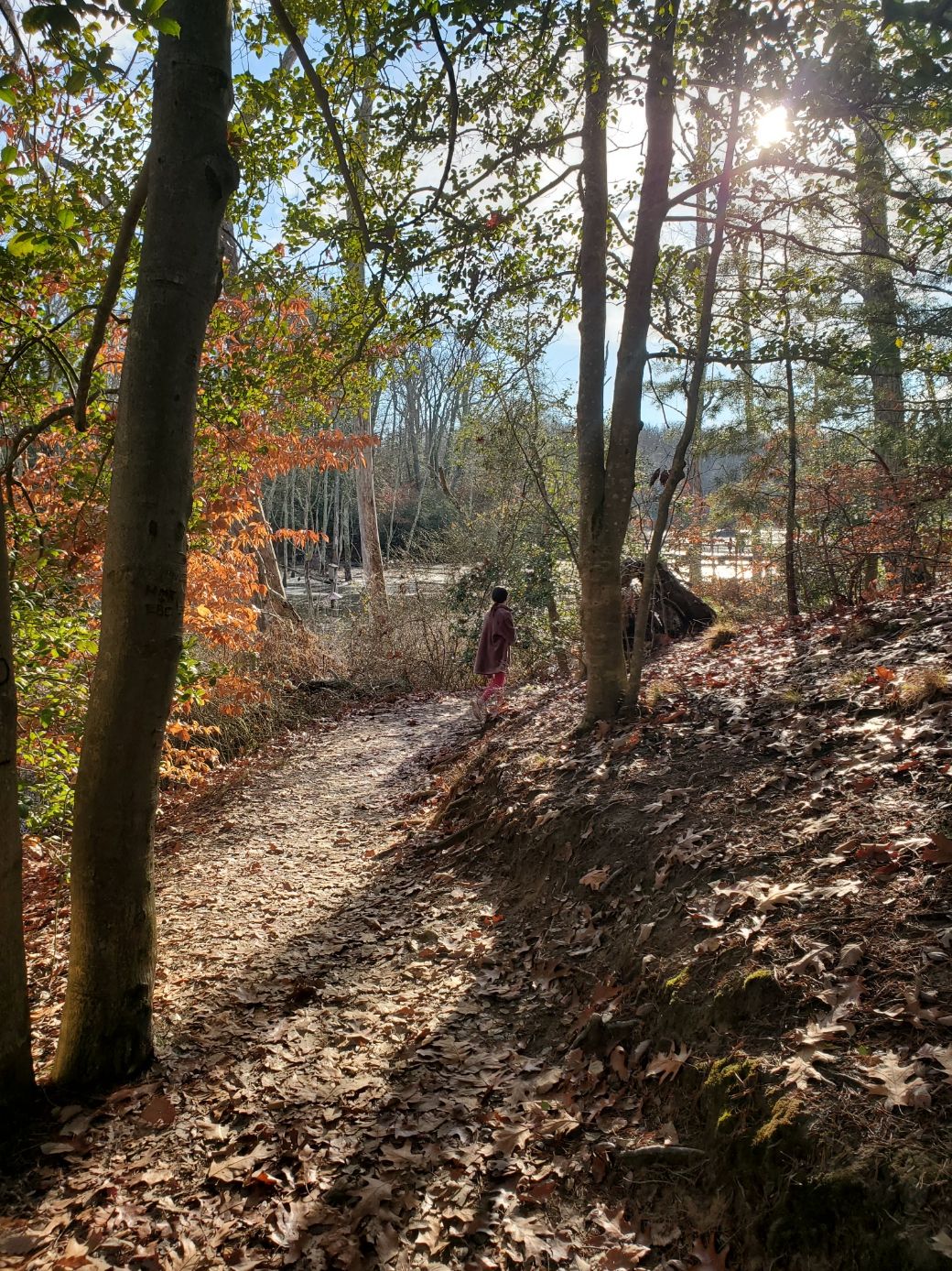POTA Activation #37: New Year’s Day Activation 4-fer in Mason Neck State Park, Captain John Smith Chesapeake NHT, Star-Spangled Banner NHT, and Potomac Heritage Trail NST (VA) (1/1/2023)